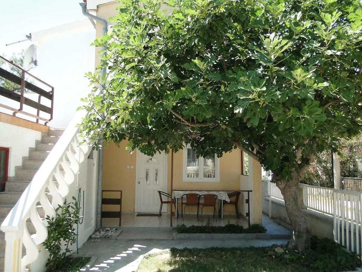 Apartment Zagi Seline