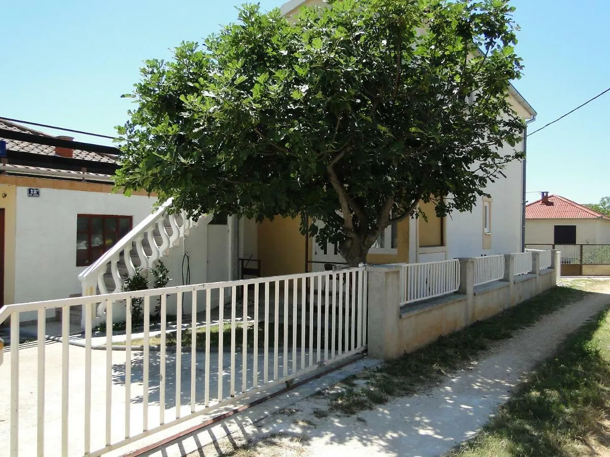 Apartment Zagi Seline