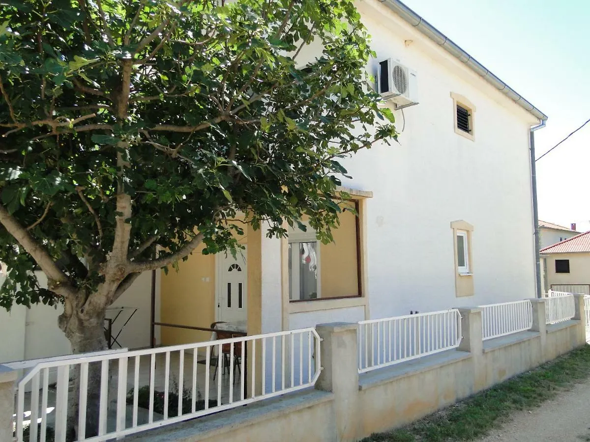 Apartment Zagi Seline